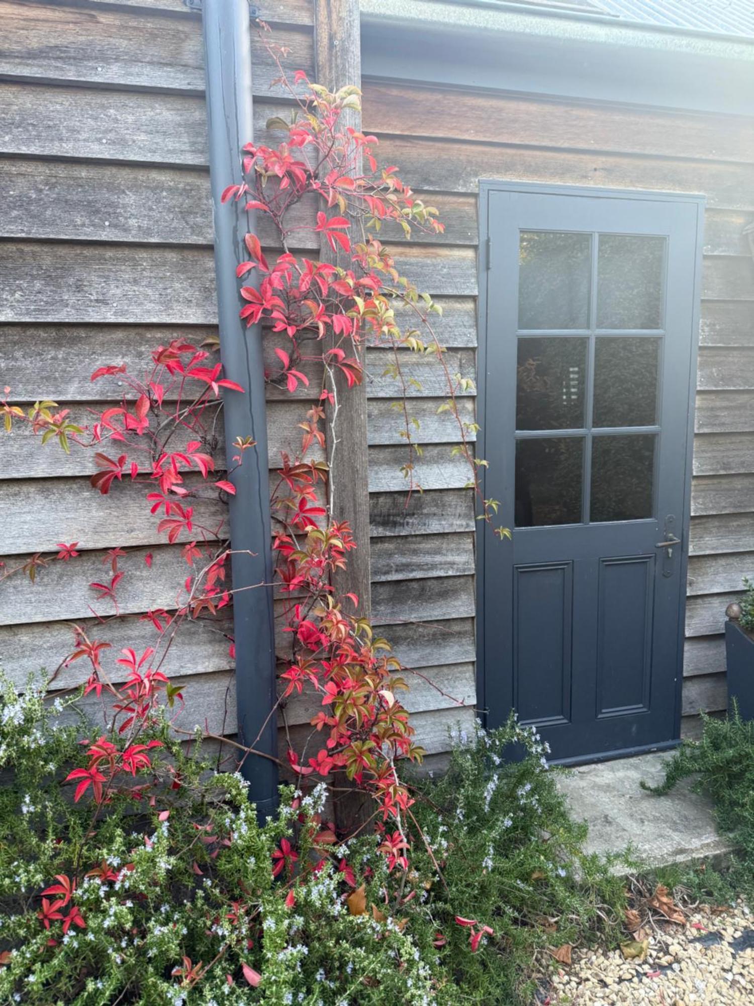 Elm Cottage Barn Oatlands Экстерьер фото